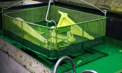 Этапы проведения капиллярной дефектоскопии - Официальный представитель MAGNAFLUX в Казахстане и СНГ